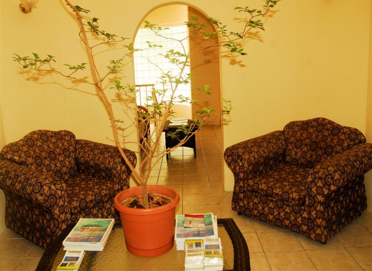 Rich View Hotel كينغستاون المظهر الخارجي الصورة